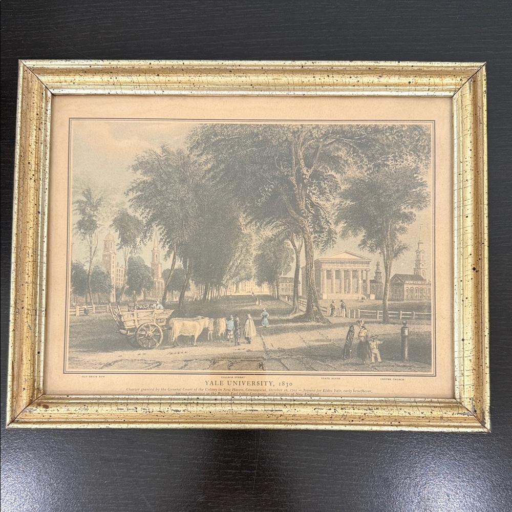 Vintage Borghese Gold Tone Framed Yale University Print